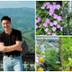Ngây ngất biệt thự hoa giăng khắp lối của Mạnh Trường