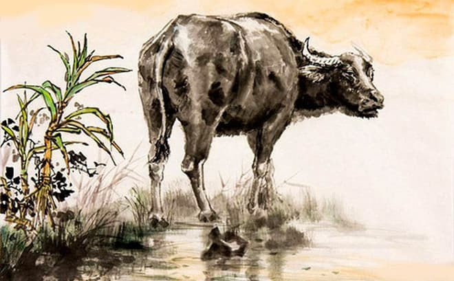 Thay vì buông xuôi, con giáp này thường biết cách biến những áp lực ấy thành động lực để tiếp tục cố gắng và chứng tỏ bản thân qua những hành động cụ thể.