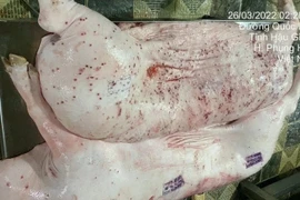 Bộ Công an vào cuộc vụ C.P. Việt Nam bị tố bán thịt lợn bệnh
