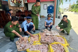 Phát hiện gần 500kg chân gà, đuôi lợn không rõ nguồn gốc