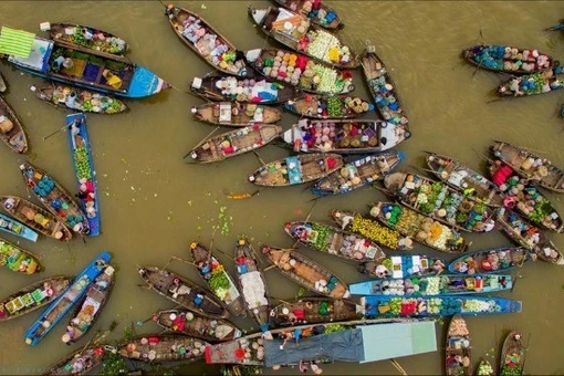 Đi chợ nổi Cái Răng nên đi tour sáng sớm hay tour ăn trưa?