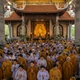 Lý giải khoa học về các phương pháp "chữa lành"