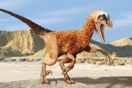 Sự thật khó tin về loài khủng long “kẻ cướp” kỷ Jura
