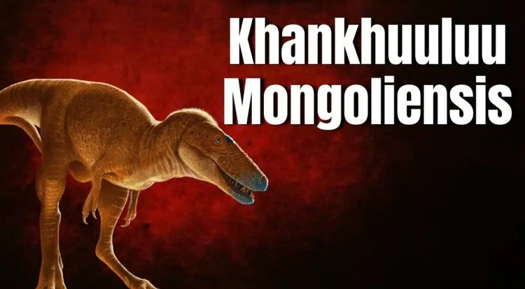 Khủng long bạo chúa T-Rex được biết đến qua nhiều hóa thạch được bảo quản rất tốt, cho phép các nhà khoa học có cái nhìn rõ ràng về cấu trúc cơ thể đáng sợ của chúng. Tuy nhiên, về tổ tiên trực tiếp của chúng, đặc biệt là những loài chuyển tiếp từ kỷ Jura sang kỷ Phấn trắng, vẫn là một bí ẩn lớn chưa được giải đáp trọn vẹn. 2-2579.jpg