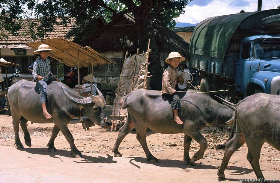 Con đường này dẫn ra chợ.