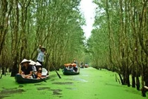Các khu du lịch sinh thái ở ĐBSCL hút khách dịp hè