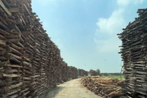 Thị xã Quế Võ chỉ đạo xử lý chiếm dụng đê điều ở làng nghề Phù Lãng