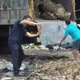 Phát hiện 3.100 kg hàu không rõ xuất xứ ở Quảng Ninh