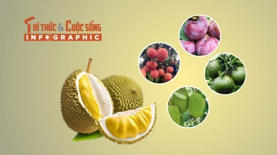 5 loại trái cây vào mùa rớt giá mạnh