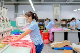 May Sông Hồng bị xử lý về thuế gần 1,7 tỷ đồng