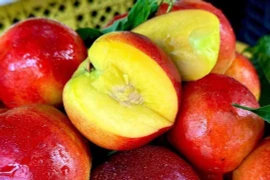 Hé lộ nguồn gốc đào trơn giá rẻ đang bán tràn lan thị trường