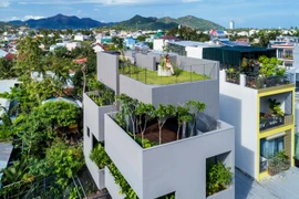 Nhà phố ngập cây xanh, đẹp tựa resort giữa rừng bê tông 